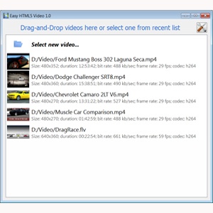 fullscreen html5 video